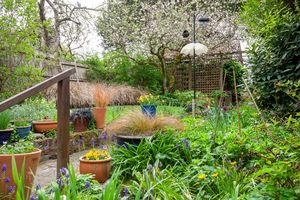 Garden (1)- click for photo gallery